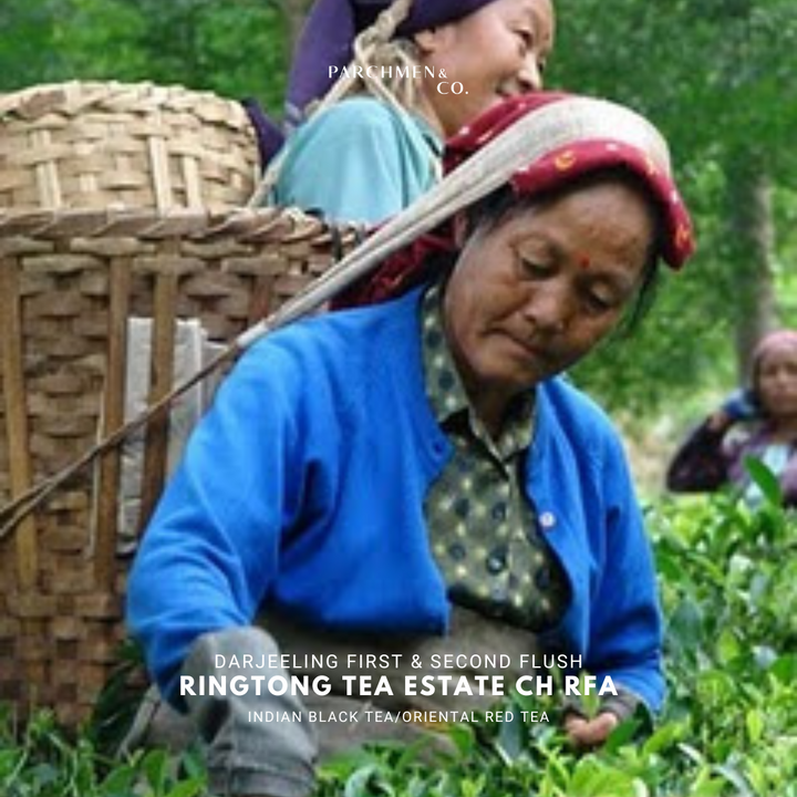 Ringtong Darjeeling First and Second Flush