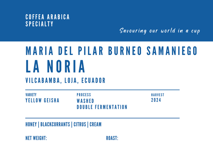 Maria Del Pilar Burneo Samaniego, La Noria - Yellow Gesha, Double Fermentation Washed